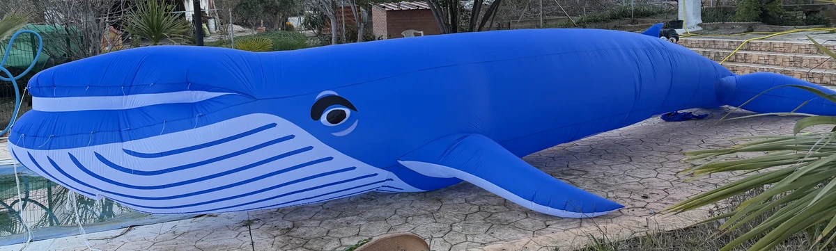 Ballena