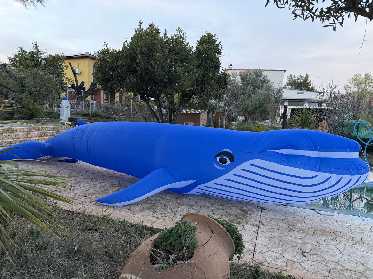 Ballena