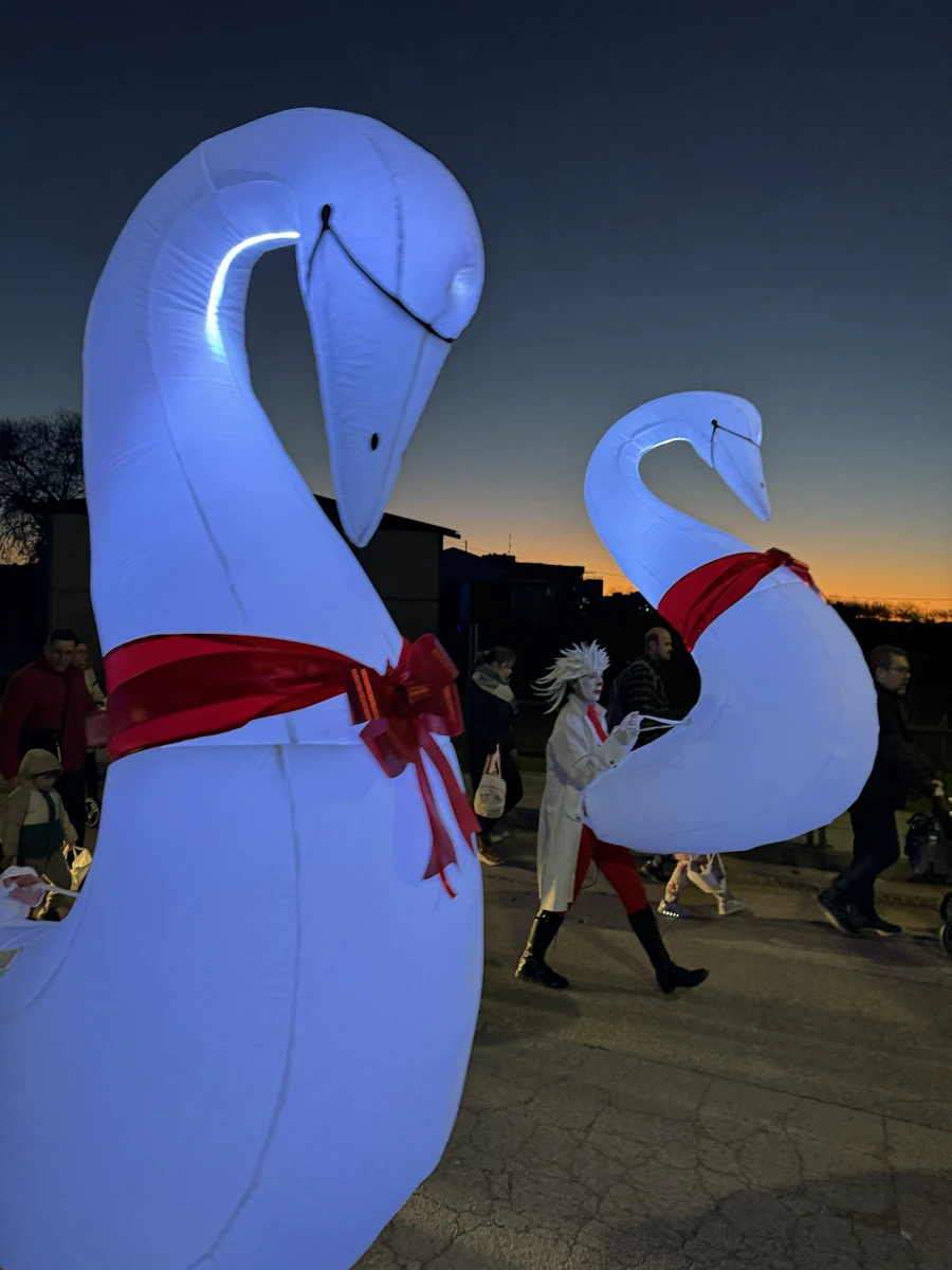 Cisnes