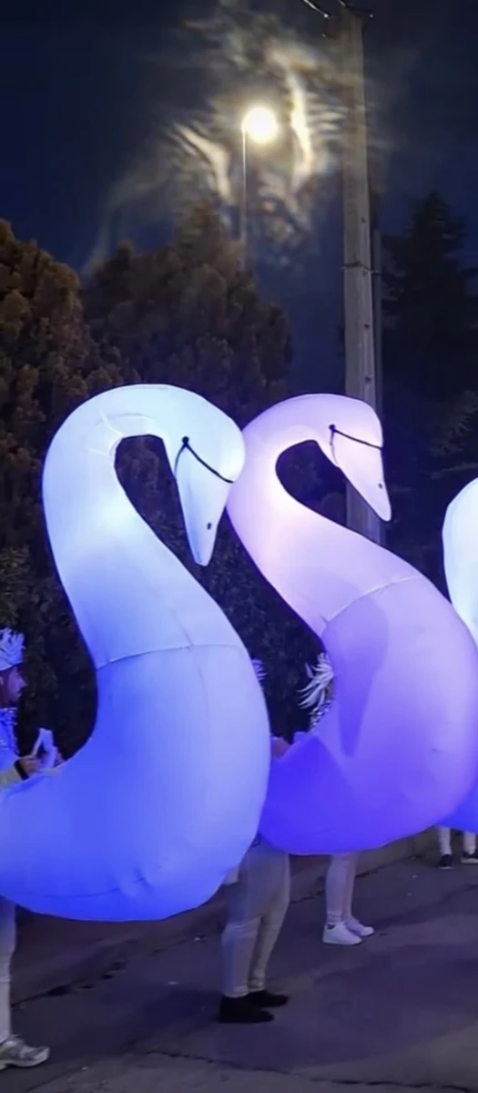 Cisnes
