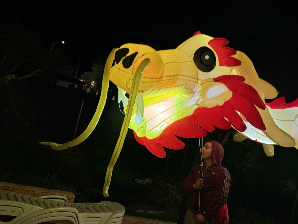 Dragon