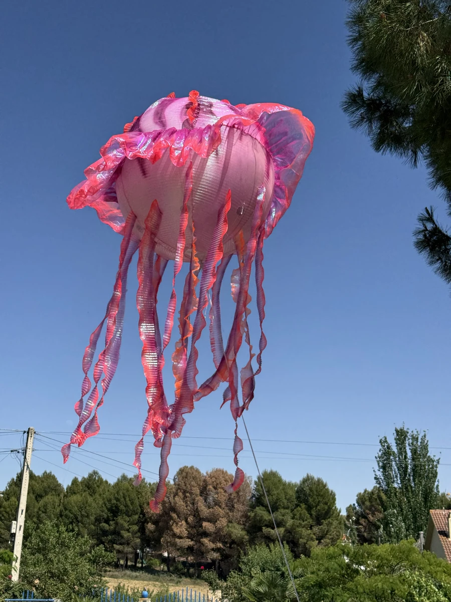 Medusas