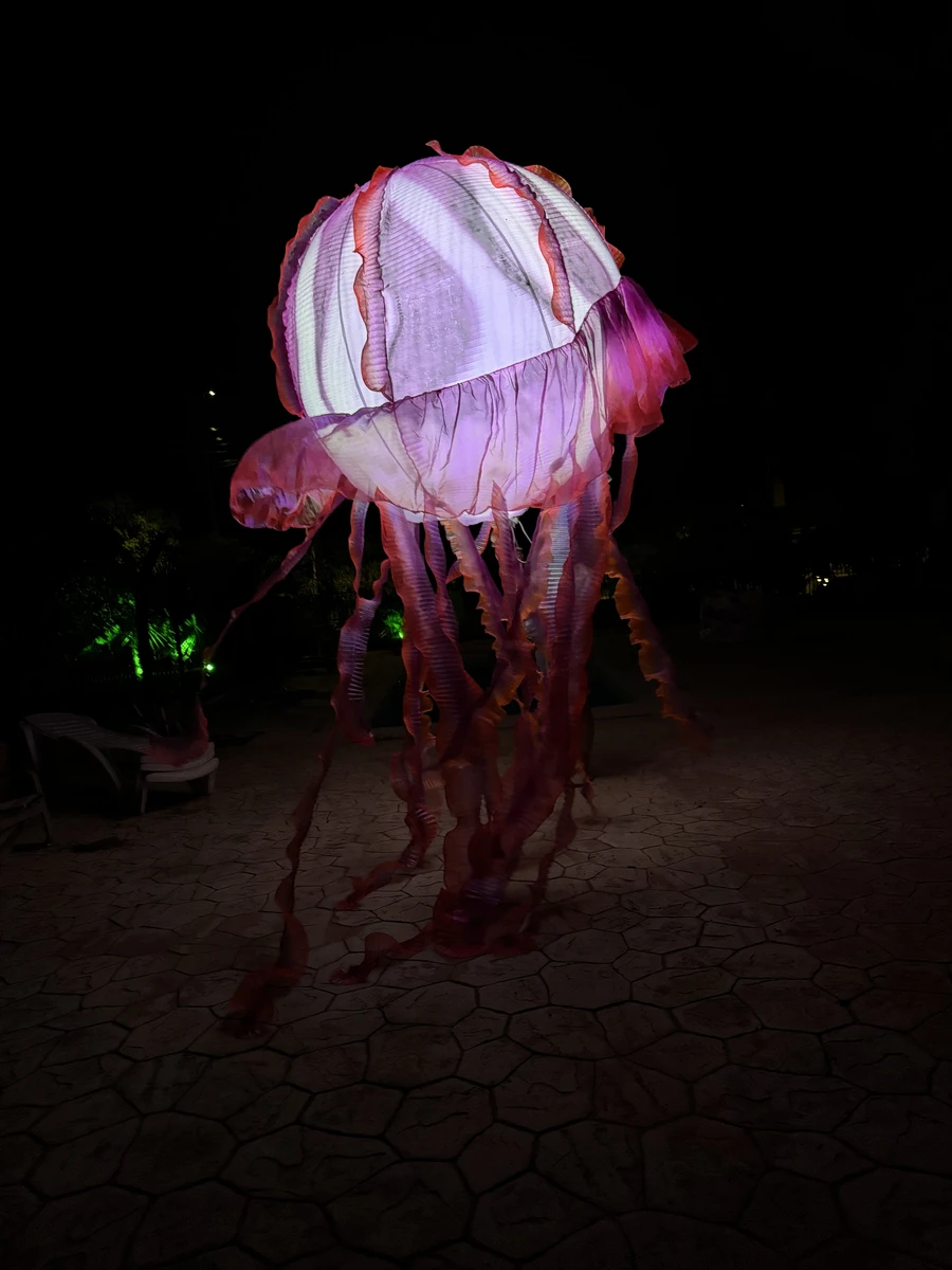 Medusas